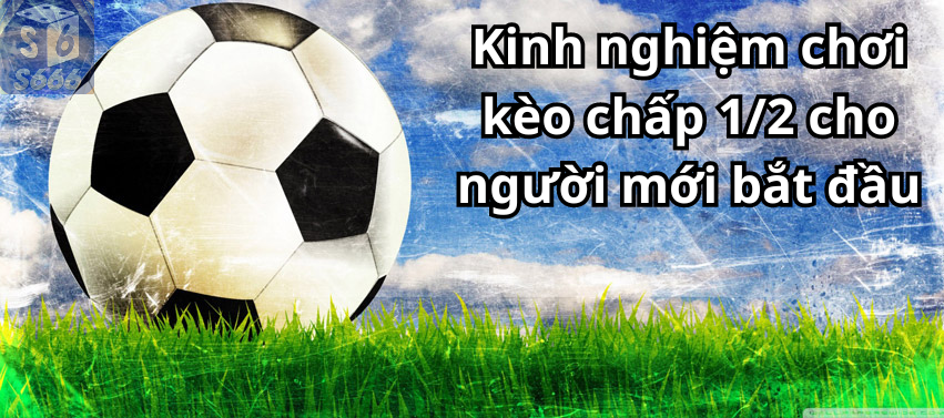 Kinh nghiệm chơi kèo chấp 1/2 cho người mới bắt đầu