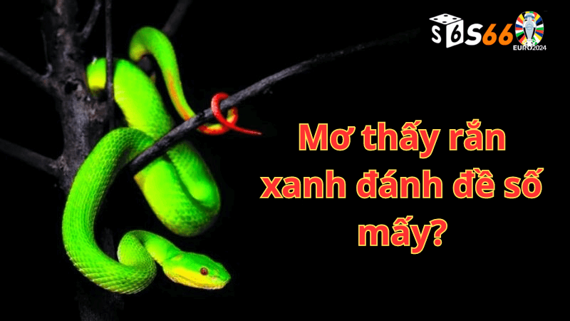 Mơ thấy rắn xanh đánh đề số mấy?