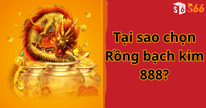 Tại sao chọn Rồng bạch kim 888?