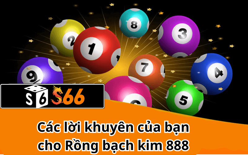 Các lời khuyên của bạn cho Rồng bạch kim 888