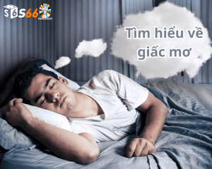 Tìm hiểu về giấc mơ