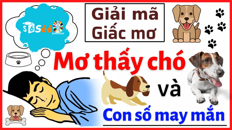 Cách Thực Hiện Mơ Con Chó Đánh Số Gì