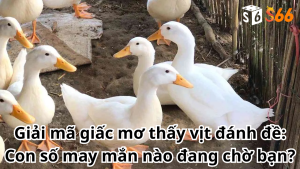 Mơ thấy vịt đánh lô đề con gì?