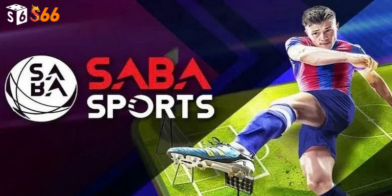 Những sản phẩm nổi bật của SABA Sports