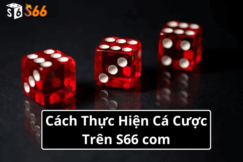 Cách Thực Hiện Cá Cược Trên S66 com