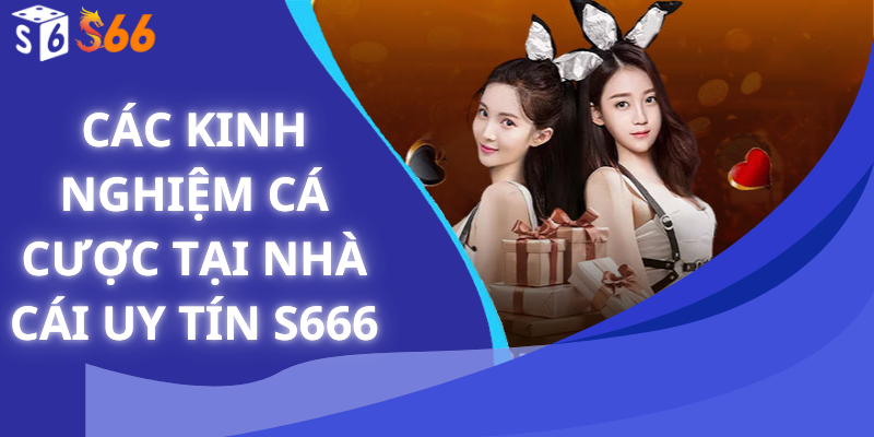 Các Kinh Nghiệm Cá Cược Tại Nhà Cái Uy Tín S666